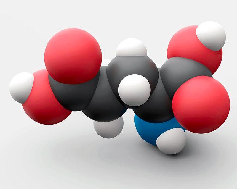 Глутаминовая кислота - аминокислота
